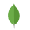 mongodb